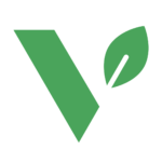 vivo avatar